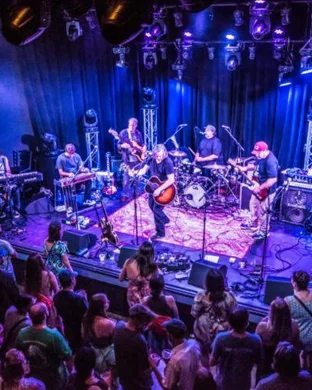 The Grateful String Band