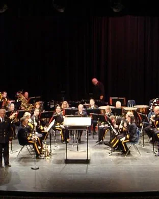 The Australian Bee Gees