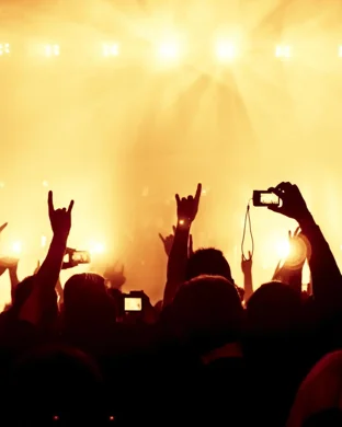 Drink The Sea Chicago