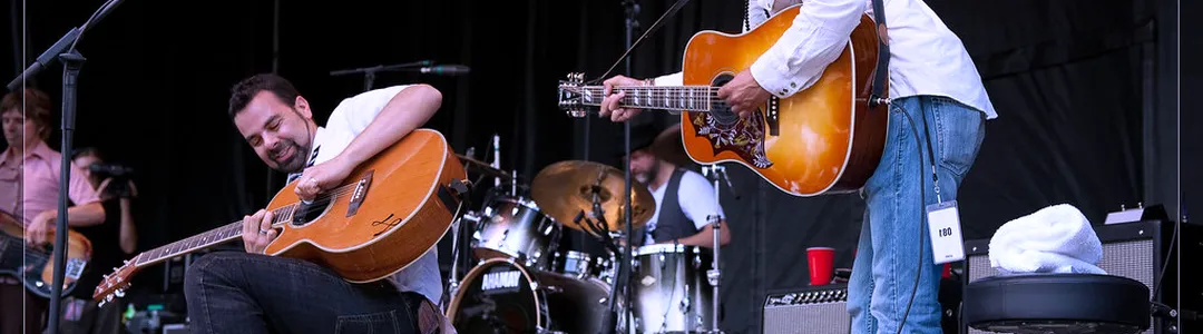 ALO - Animal Liberation Orchestra