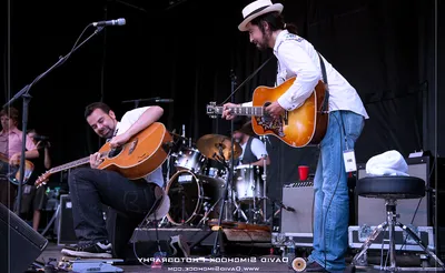 ALO - Animal Liberation Orchestra