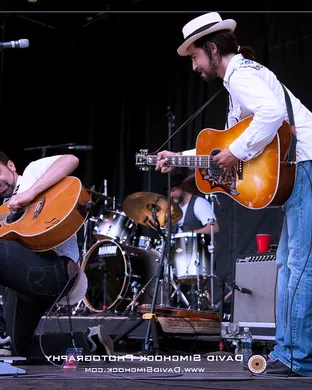 ALO - Animal Liberation Orchestra