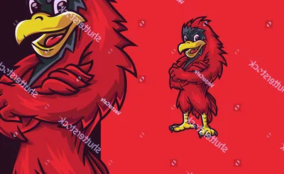 Ball State Cardinals Football