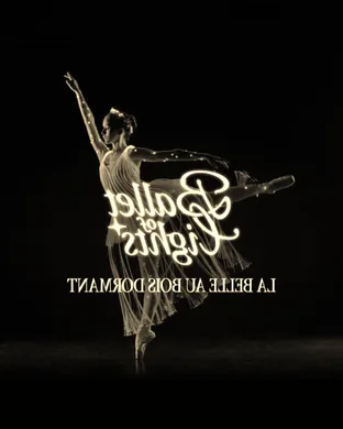 Ballet of Lights: Sleeping Beauty in a Sparkling Show