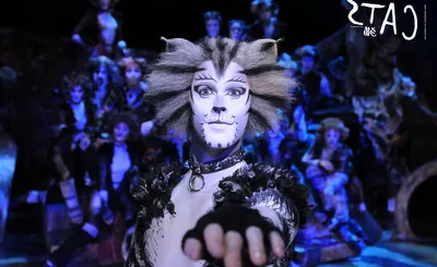 Cats - The Musical