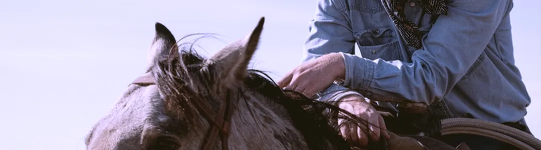 Colter Wall