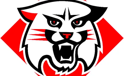 Davidson Wildcats