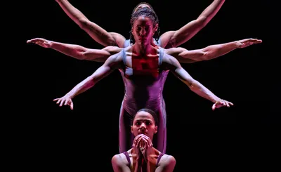 Deeply Rooted Dance Theater