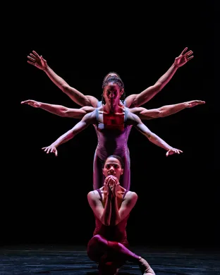 Deeply Rooted Dance Theater