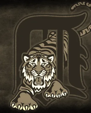 Detroit Tigers vs. Chicago White Sox