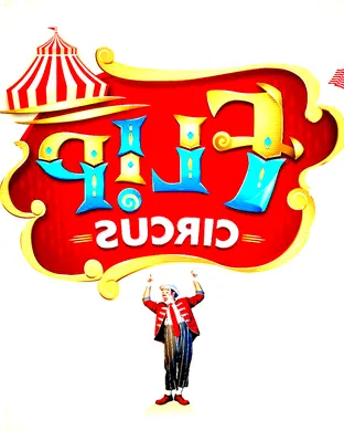 Flip Circus Vernon Hills
