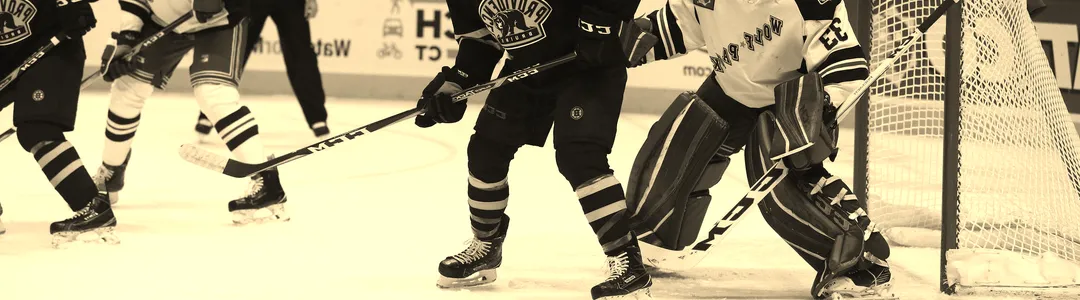 Hartford Wolf Pack