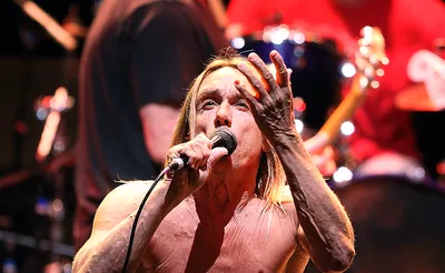 Iggy Pop