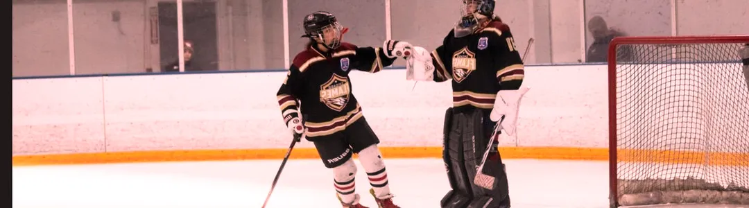 Illinois-Chicago Flames