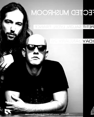 Infected Mushroom