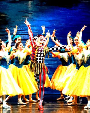 International Ballet Stars: Swan Lake