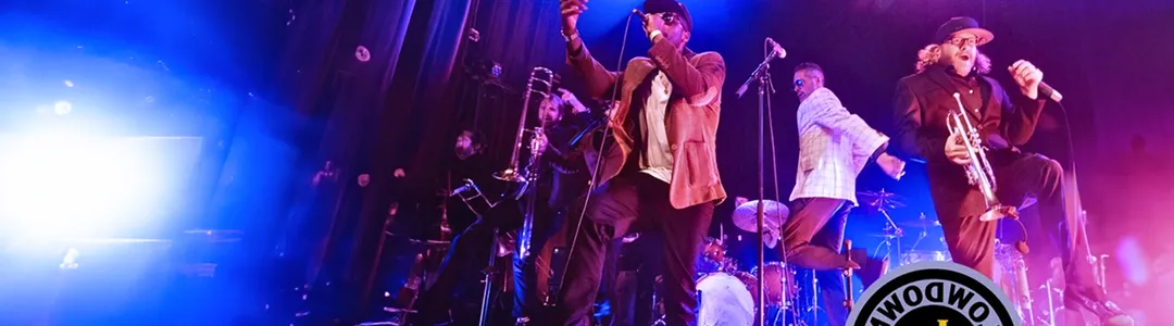 Lowdown Brass Band