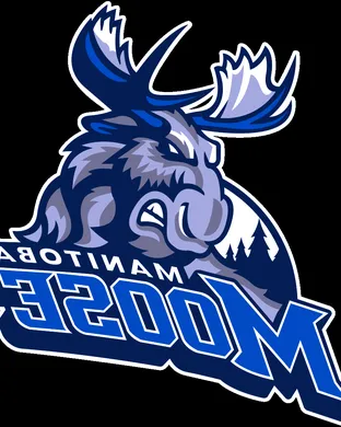 Manitoba Moose