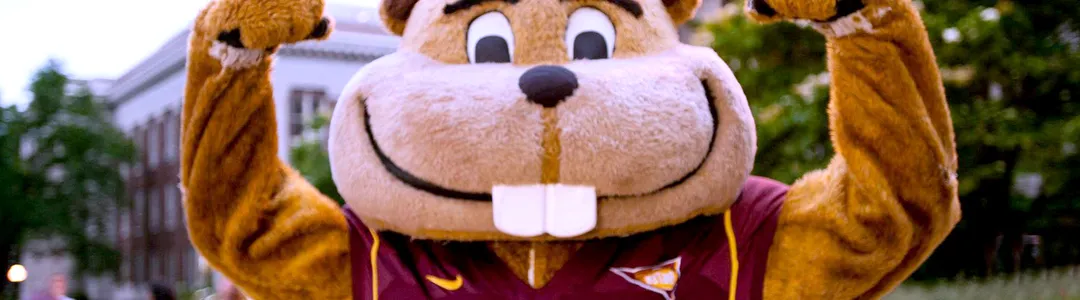Minnesota Golden Gophers