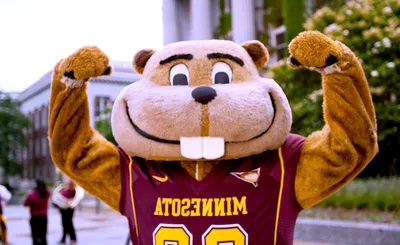 Minnesota Golden Gophers