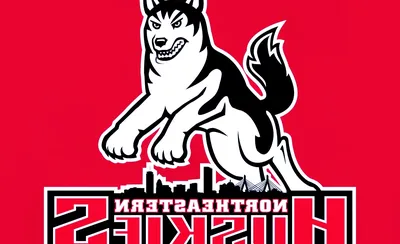 Northeastern Huskies