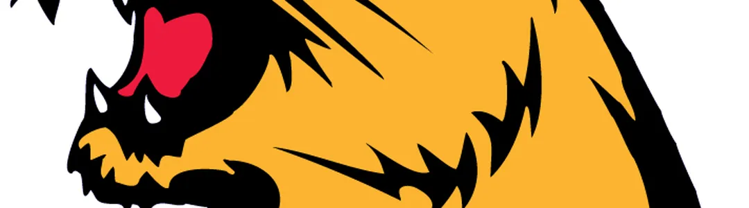 Northern Michigan Wildcats