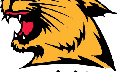 Northern Michigan Wildcats