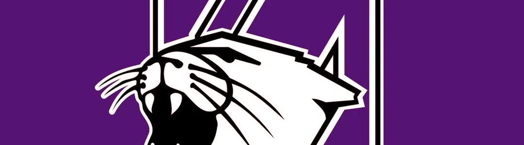 Northwestern Wildcats Baseball