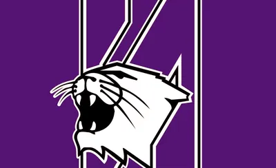 Northwestern Wildcats Baseball