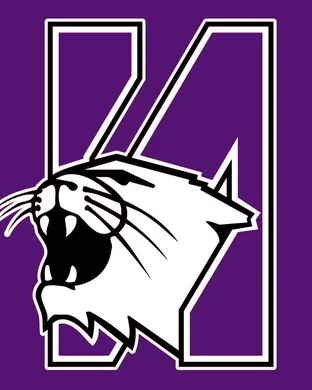 Northwestern Wildcats Baseball