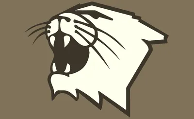 Northwestern Wildcats