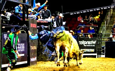 PBR - Unleash The Beast