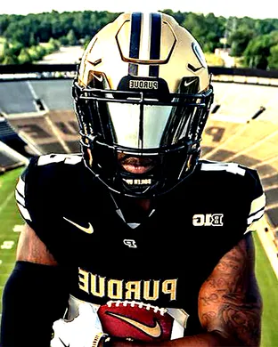 Northwestern Wildcats Women's Volleyball