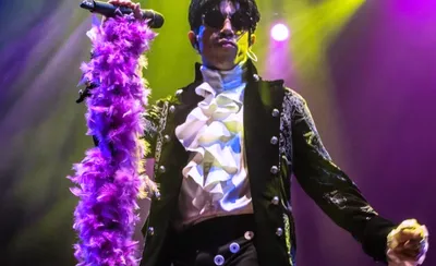 Purple Madness - A Tribute To Prince