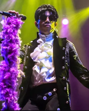 Purple Madness - A Tribute To Prince