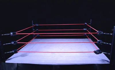 Real American Freestyle