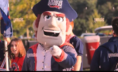 Robert Morris College Eagles