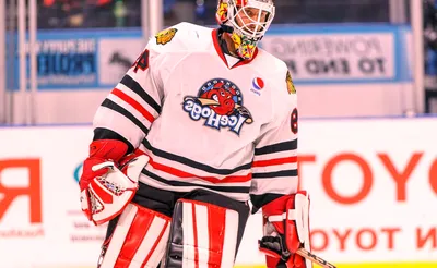 Rockford Icehogs 