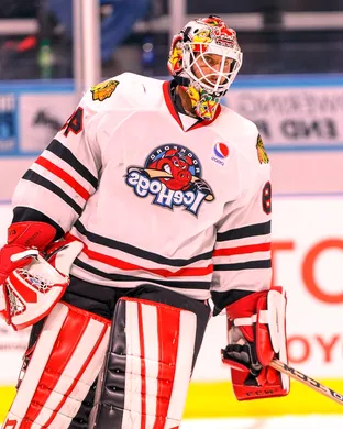 Rockford Icehogs 