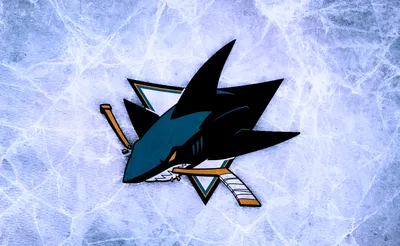 San Jose Sharks