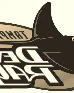 Tampa Bay Rays vs. Chicago White Sox