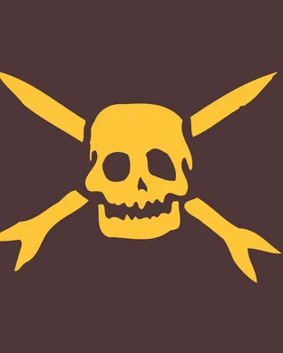 Teenage Bottlerocket