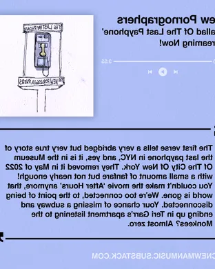 The New Pornographers