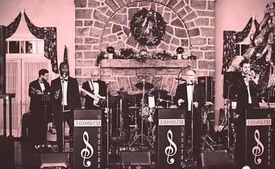 The Renaissance Orchestra