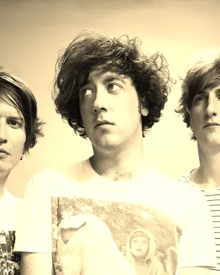 The Wombats
