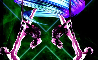 Troupe Vertigo