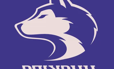 Washington Huskies
