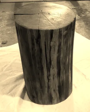 Wooden Wisdom Chicago