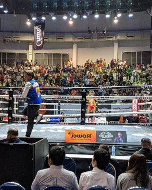 Sumo Championship League