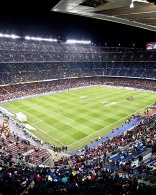 Saginaw Valley State Cardinals